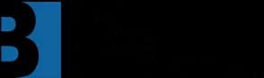Big News Network logo